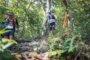 BIB: 
                            <button type="button" onclick="openModal(27698701)" class="btn btn-primary btn-sm float-right btn-popup" data-toggle="modal" data-target=".modal-high-quality">
                        <i class="fas fa-shopping-cart"></i> Add to Cart
                    </button>
                                            <button type="button" onclick="isThisMe(27698701, true)" class="btn btn-success btn-sm float-right btn-popup btn-isme hidden" data-toggle="tooltip" data-placement="bottom" title="นี่คือรูปของคุณใช่ไหม คลิกที่นี่เพื่อเอาเข้าอัลบั้ม">
                        <i class="fas fa-plus"></i> Add to album
                    </button>
                    <button type="button" onclick="isThisMe(27698701, false)" class="btn btn-warning btn-sm float-right btn-popup btn-isnotme hidden">
                        <i class="fas fa-ban"></i> Remove from album
                    </button>